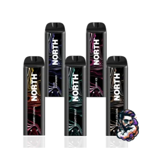 North 5000 Puff Disposable Vape Device