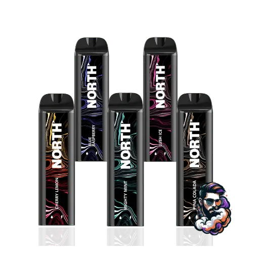 North 5000 Puff Disposable Vape Device