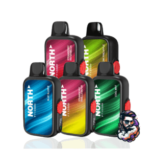 North FT12000 12,000 Puff Disposable