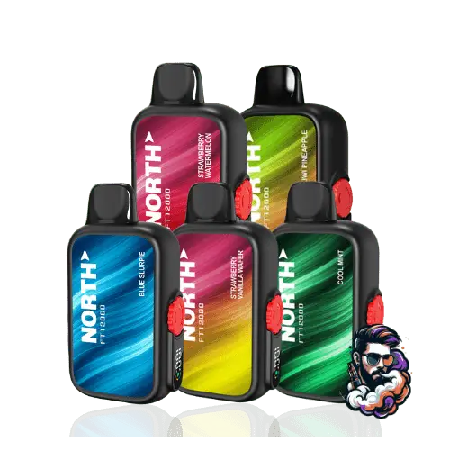 North FT12000 12,000 Puff Disposable