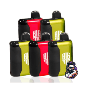 BigMo 25K Puffs Disposable Vape